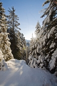 10_Sole e neve